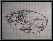 Marguerite-Paulet-jack