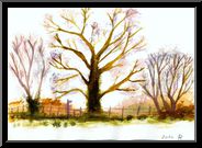 Marguerite-Paulet-hiver-aquarelle