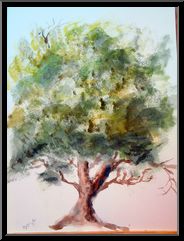 Marguerite-Paulet-arbre