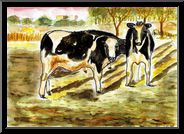 Marguerite-Paulet-vaches-aquarelle