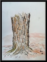 Marguerite-Paulet-arbres-2