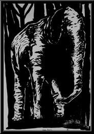 Marguerite-Paulet-elephant