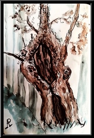 Marguerite-Paulet-arbre-creux-1