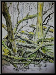 Marguerite-Paulet-arbres-des-marais