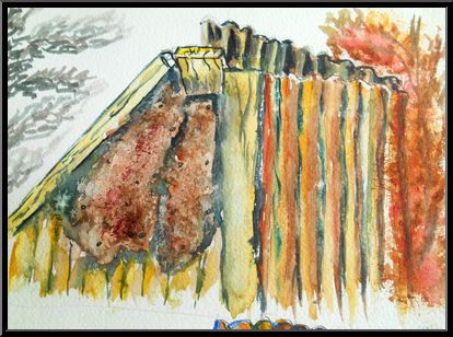 Marguerite-Paulet-rouille