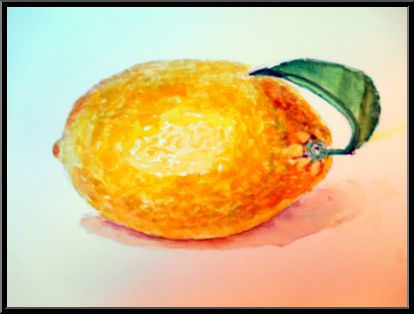 Marguerite-Paulet-citron