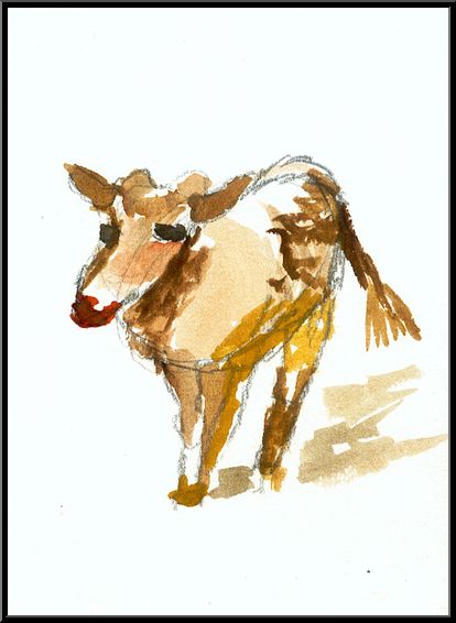 Antoine-Paulet-la vache