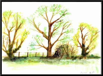 Marguerite-Paulet-primtemps