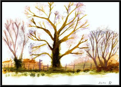 Marguerite-Paulet-hiver-aquarelle