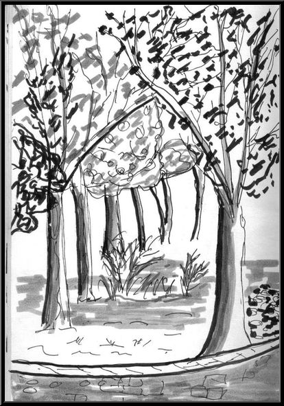 Antoine-Paulet-l'inconnue foret