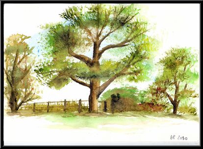 Marguerite-Paulet-ete