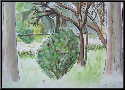 Marguerite-Paulet-saint-pierrreux