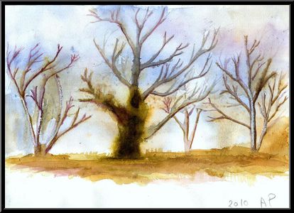 Marguerite-Paulet-le-lierre-prend-dans-l-arbre