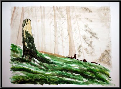 Marguerite-Paulet-bruine-du-matin