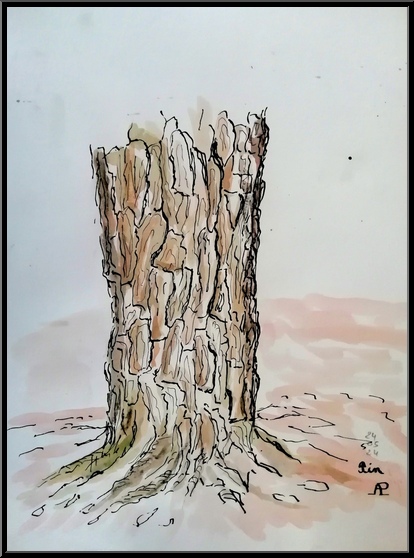 Antoine-Paulet-arbres 2