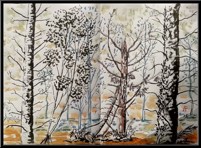 Marguerite-Paulet-foret-de-carnoet-a2