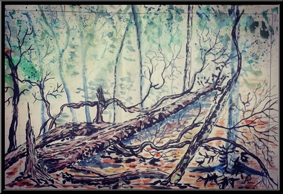 Marguerite-Paulet-arbre-couche-foret-de-carnoet-a2