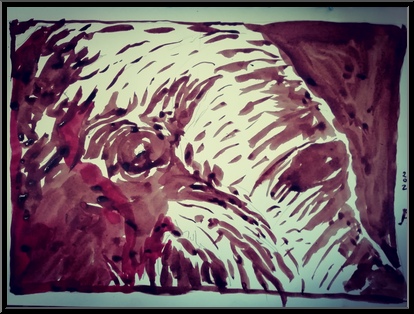 Marguerite-Paulet-tete-d-elephant