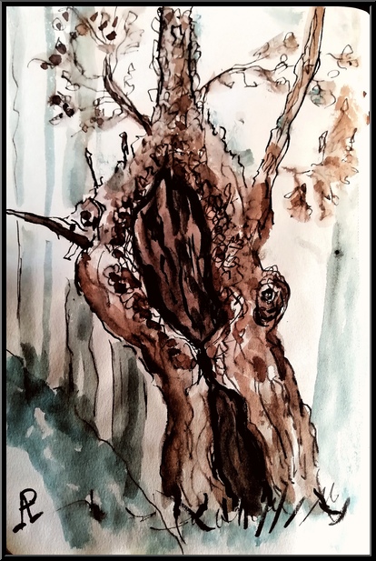 Antoine-Paulet-arbre creux 1