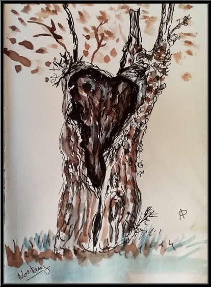 Antoine-Paulet-arbre creux 2