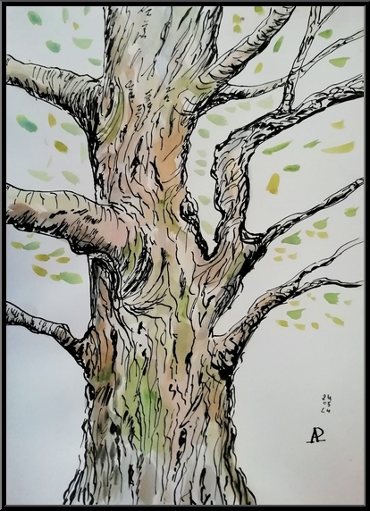 Antoine-Paulet-arbre