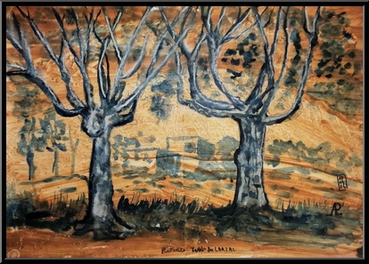 Marguerite-Paulet-platanes-terre-du-larzac