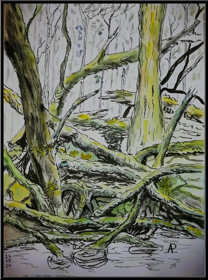 Antoine-Paulet-Arbres des Marais