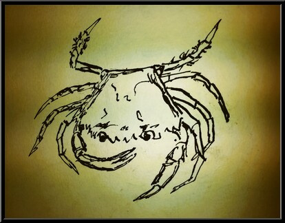 Marguerite-Paulet-crabe-vert