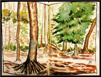 Marguerite-Paulet-foret-d-ecouves-orne-2xa4