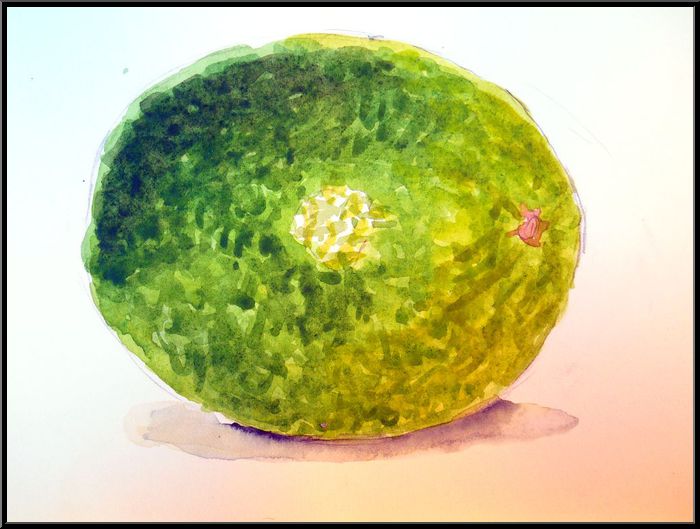 Antoine-Paulet-citron vert