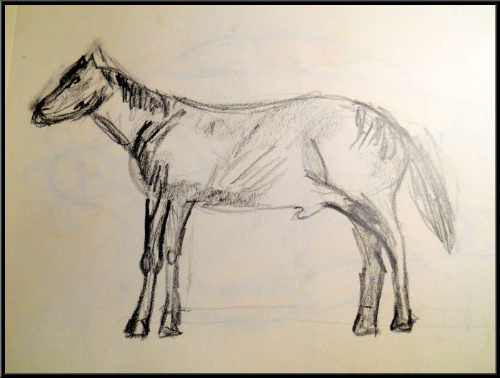 Antoine-Paulet-cheval