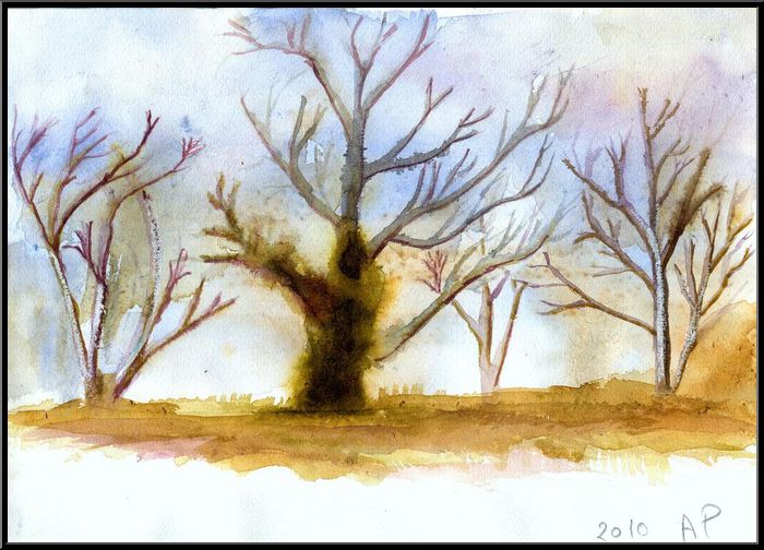Antoine-Paulet-le lierre prend dans l'arbre