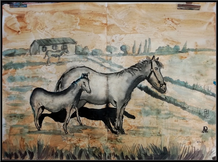 Antoine-Paulet-Camargue Arles