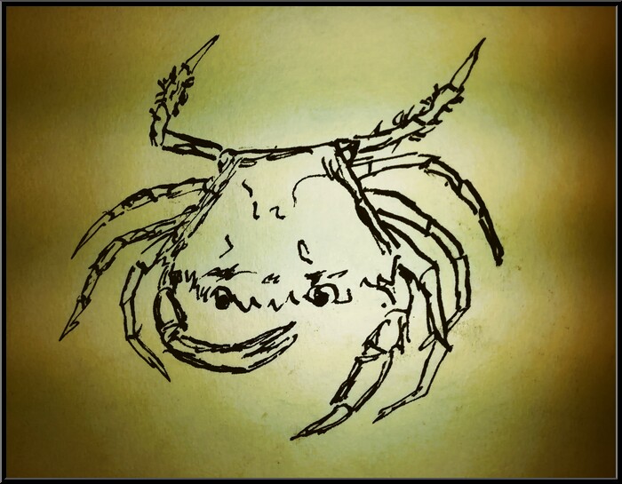 Antoine-Paulet-crabe vert